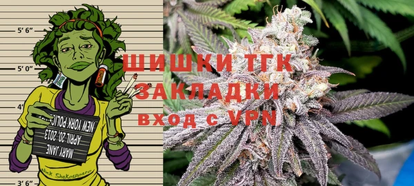 прущие грибы Белоозёрский